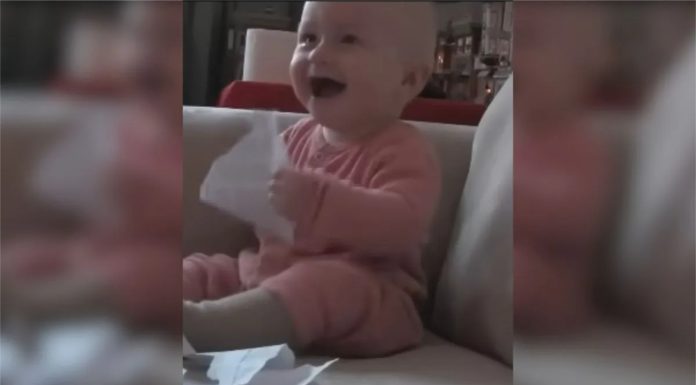 Beba se histerično smije dok trga očevu odbijenicu za posao