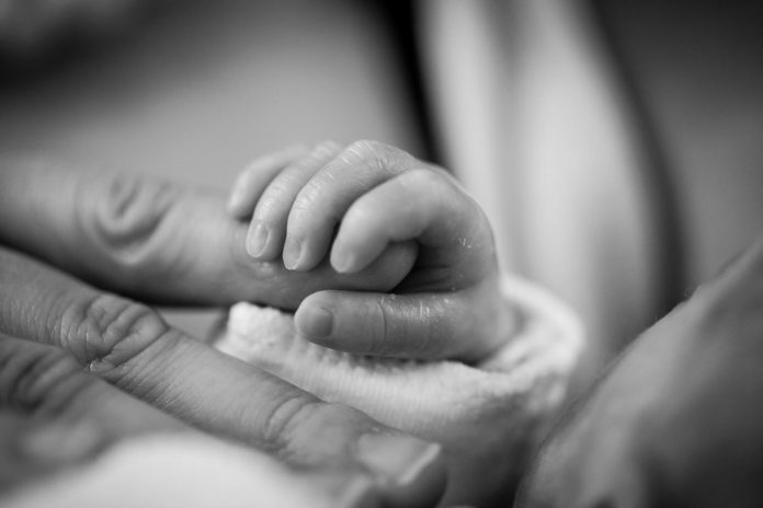 Četiri bebe pronađene u zamrzivaču