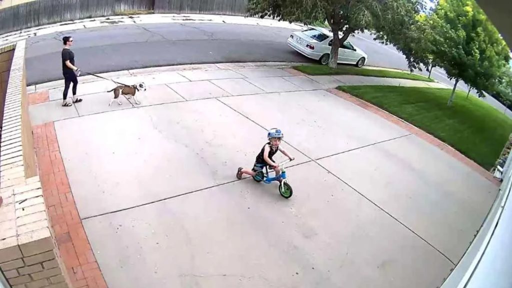 Čovjek je uočio dječaka kako vozi bicikl na prilazu u njegovu kuću
