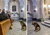 Svaki dan nakon Marijine smrti njezin pas odlazi u crkvu