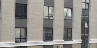 Susjeda je snimila strašan prizor s prozora