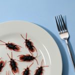 Japan i dalje gura modu jedenja insekata unatoč kontinuiranom padu populacije