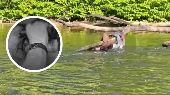 Promatrač ptica uhvatio čovjeka kako se bori za život