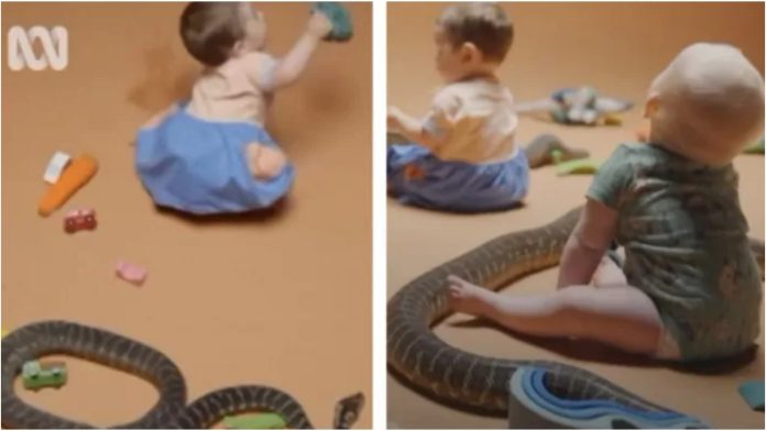 Roditelji pustili bebe u sobu sa zmijama da vide kako će se ponašati
