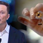 Tvrtka Elona Muska dobila dozvolu za ispitivanje moždanog čipa u Kanadi