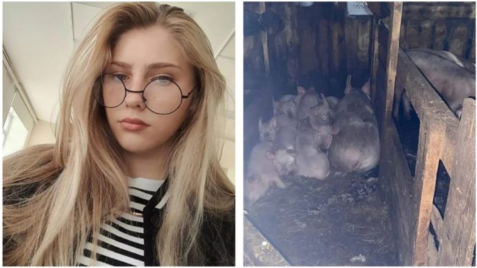 Milenu (17) usmrtile svinje dok ih je hranila