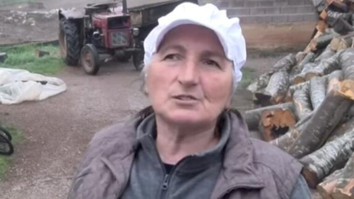 Svekar izabrao žene za sinove