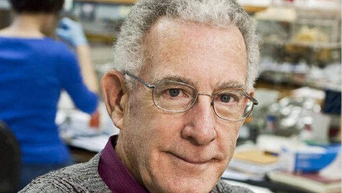 Dr. Thomas Seyfried