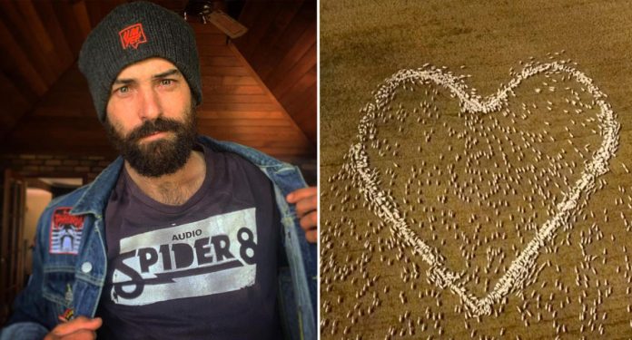 Farmer nije mogao doći na sprovod pa je napravio ogromno srce s ovcama u čast svojoj pokojnoj teti
