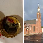 Crvene mrlje uočene na hostiji nisu krv, potvrdila je laboratorijska istraga Crvene mrlje uočene na hostiji nisu krv