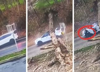 Ženi na auto palo golemo stablo, Božja ruka ju je zaštitila