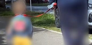 U Zagrebu snimljena osoba kako vodi dijete na povodcu: Mnogi su se šokirali