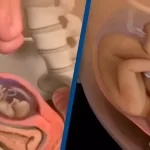 Simulacija rasta bebe
