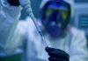 Borna Virus