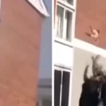 Mama bacila bebu kroz prozor