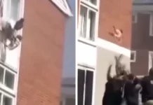 Mama bacila bebu kroz prozor