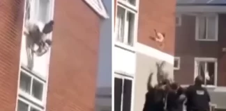 Mama bacila bebu kroz prozor