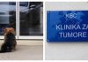 Pas pred riječkom klinikom