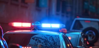 Policija u vili pronašla 15 beba i male djece u dobi od dva mjeseca do tri godine