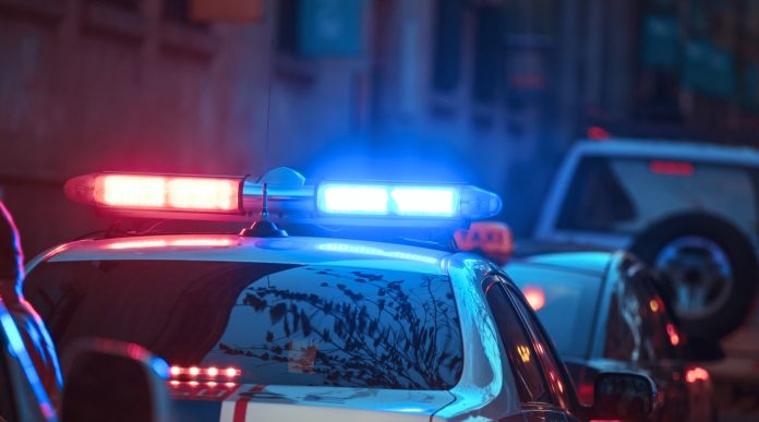 Policija u vili pronašla 15 beba i male djece u dobi od dva mjeseca do tri godine