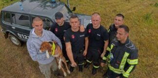 Slika vatrogasaca iz Bijelog Polja i psa krije dirljivu priču