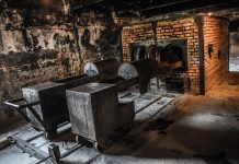 U krematoriju pronađeno 381 tijelo
