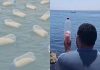 Egipćani pune plastične boce hranom i puštaju u more u nadi da će stići na obale Gaze