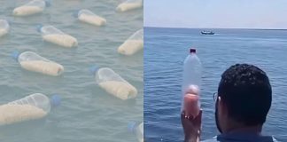 Egipćani pune plastične boce hranom i puštaju u more u nadi da će stići na obale Gaze