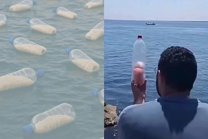 Egipćani pune plastične boce hranom i puštaju u more u nadi da će stići na obale Gaze