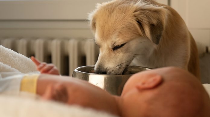 Majka iz Srbije dozvoljava bebi da pije iz posude za pse
