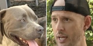 Pas naveo čovjeka da ga slijedi