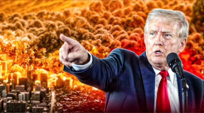 Trumpova izjava o nuklearnom oružju