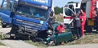 U Srbiji život izgubila braća