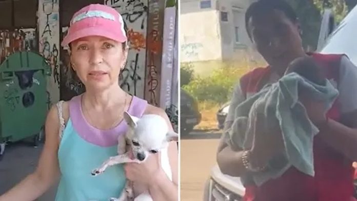 Maja je našla bebu u zatvorenoj vrećici kraj kontejnera