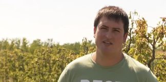 Ovo je Matija, voćar i čovjek velikog srca: Tri tone krušaka danas će podijeliti Vinkovčanima