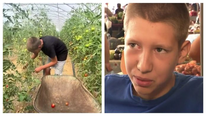 Franko (12) ustaje u 6 ujutro, pomaže ocu na osječkoj tržnici, a kusur si ostavi za sladoled