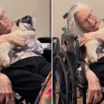 Starica (90) s dijagnozom demencije sjeća se Biblije: „Isus je Sin Božji“