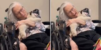 Starica (90) s dijagnozom demencije sjeća se Biblije: „Isus je Sin Božji“
