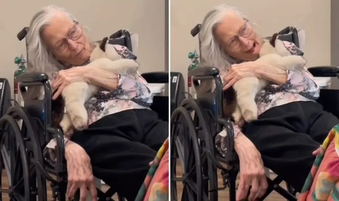 Starica (90) s dijagnozom demencije sjeća se Biblije: „Isus je Sin Božji“