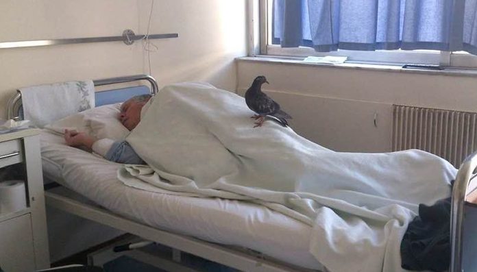 Čovjeka u bolnici nitko nije posjetio 23 dana, ali jedno Božje stvorenje je mislilo na njega