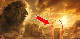 Ovo je razlog zašto je Isus Lav iz plemena Judina