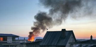 Obitelj se otrovala u Istri: Gnijezdo stršljena im je začepilo dimnjak