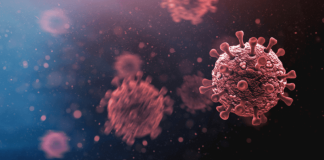 Mutirani virus zabrinuo znanstvenike: Moguć najteži val u posljednjih 10 godina