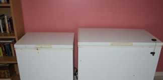 Strava u Austriji: U dva zamrzivača pronašli tijela žene i njene kćeri