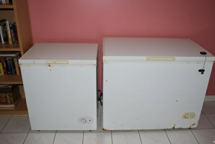 Strava u Austriji: U dva zamrzivača pronašli tijela žene i njene kćeri