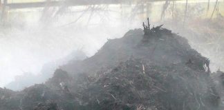 Otvoreno prvo pogrebno poduzeće u svijetu koje kompostira ljude Otvoreno prvo pogrebno poduzeće u svijetu koje kompostira ljude