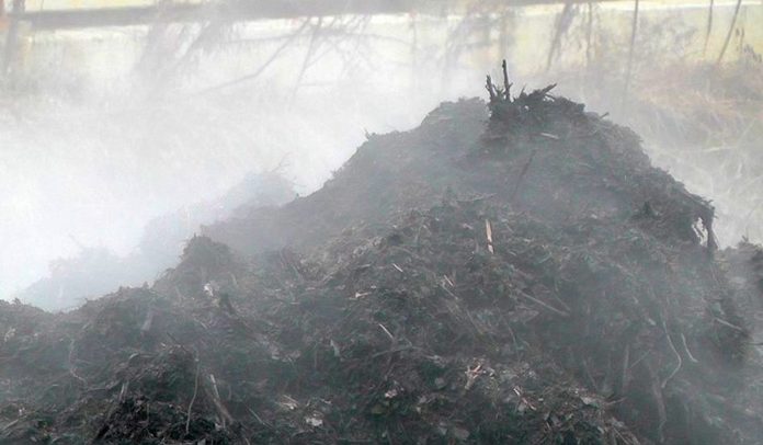 Otvoreno prvo pogrebno poduzeće u svijetu koje kompostira ljude