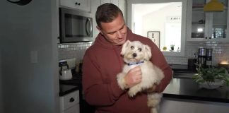 Ovaj policajac je čuo krike iz drobilice smeća i ugledao psa kojeg je udomio