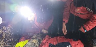 Potražna kujica Luna, članica osječkog HGSS-a, u petak je na području Erdutske planine pronašla nestalu mušku osobu i tako joj spasila život.