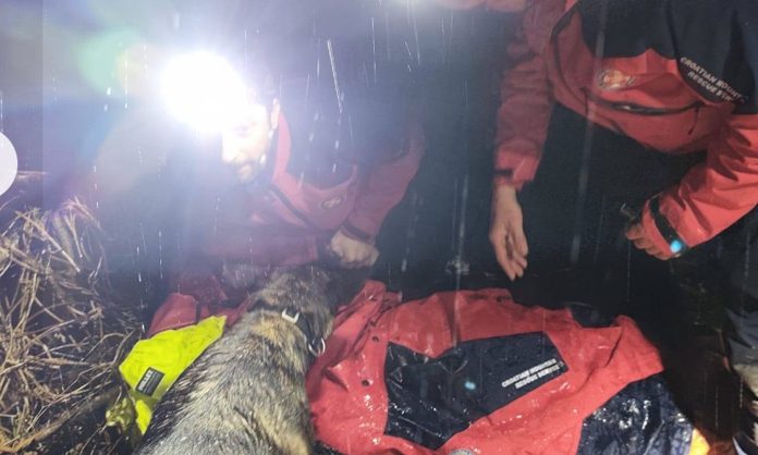 Potražna kujica Luna, članica osječkog HGSS-a, u petak je na području Erdutske planine pronašla nestalu mušku osobu i tako joj spasila život.